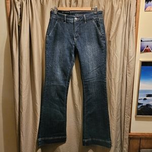 NWT, French Dressing Jeans, Women's Size 6, Blue Jeans
